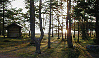P5040069.jpg
